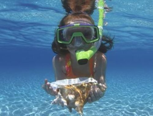 greg-johnston-snorkeling-in-the-blue-waters-of-the-bahamas_u-l-p244w20